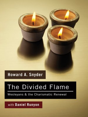 cover image of The Divided Flame